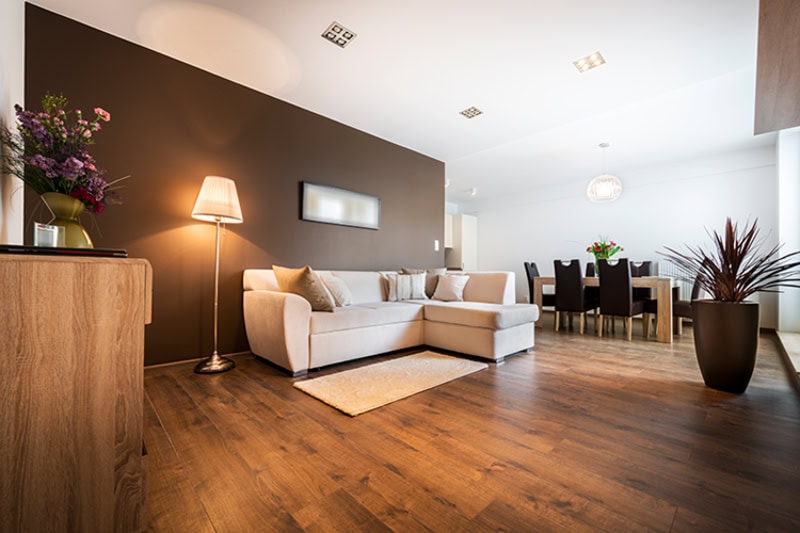 living room concept with dark wooden floors and white furniture.