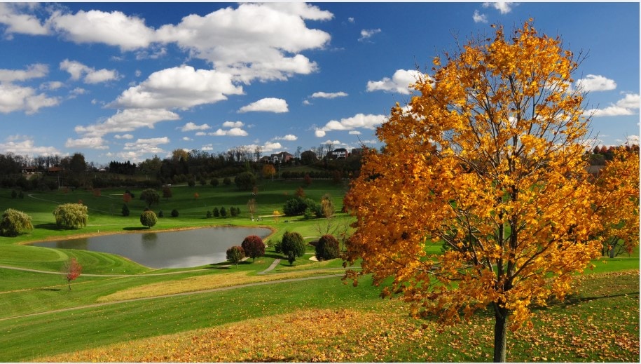 Autumn golf course with golden tree under blue sky HVAC Maintenance